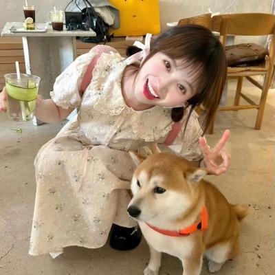 伟大的冒险